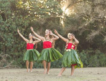 three woman dancing hula under a tree on a beach