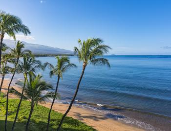 walking tour of maui kihei