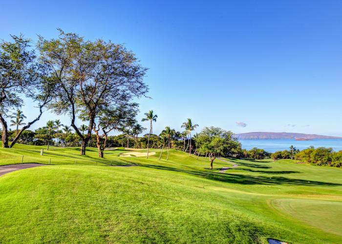 wailea gold golf course in Maui