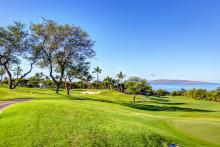 wailea gold golf course in Maui