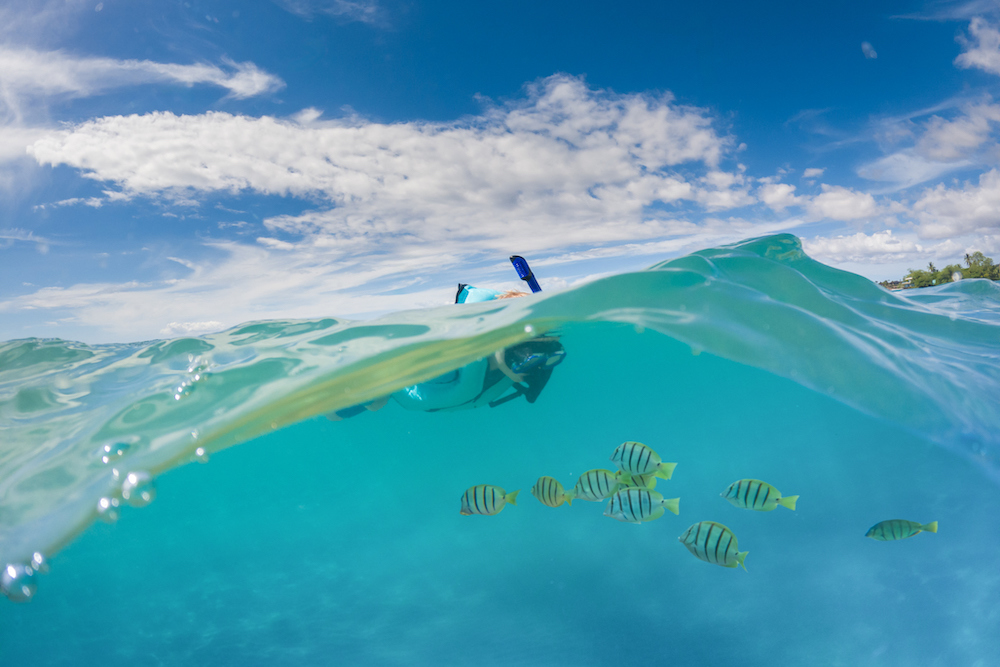 snorkeling in maui romantic things to do